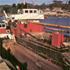 Accumulation de pétrole dans le port de Roscoff le 21 mars 1978