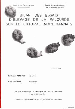 imageIllustration