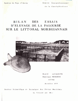 imageIllustration
