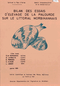 imageIllustration