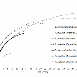 Growth curves of different species of the genus Epinephalus in the southern hemisphere (1: Condini et al., 2014; 2: Costa et al., 2011; 3: Nichols and DeMartini, 2008; 4: Fry et al., 2006; 5: Pothin et al., 2004; 6: Langi, 1988)
