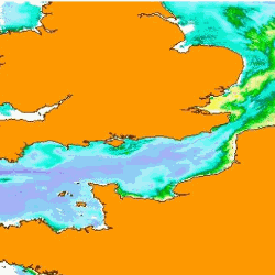 Biomasse phytoplanctonique en Manche et baie sud de la Mer du Nord le 6 mai 2008  (Image MODIS OC5 IFR)