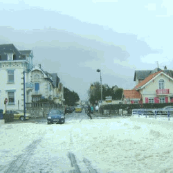 Mars 2010 à Wimereux (62) : Neige ou Phaeocystis ?
