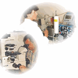 Extraction toxine et examen microscopique 