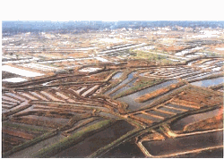 Marais ostréicoles du bassin de Marennes-Oléron