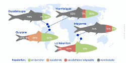 État des populations de poissons exploitées dans les 5 départements d’Outre-mer en 2021 (part des débarquements en volume)