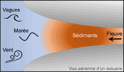 imageIllustration