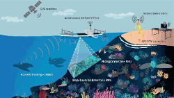 imageIllustration